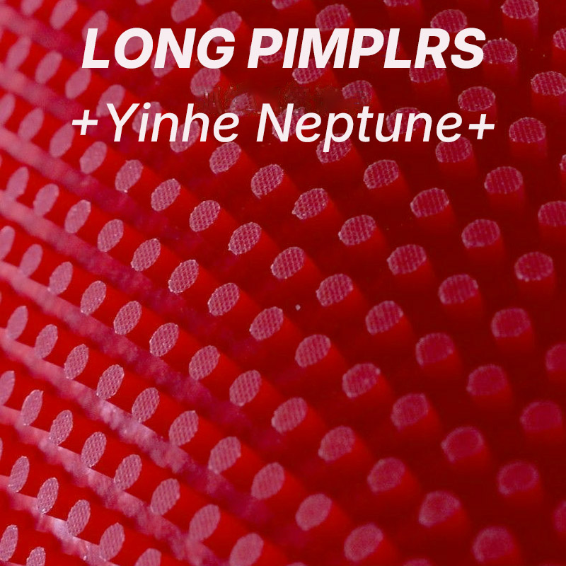 YINHE NEPTUNE Long Pimples Tab – Table Tennis Spin Bewertung und Preis